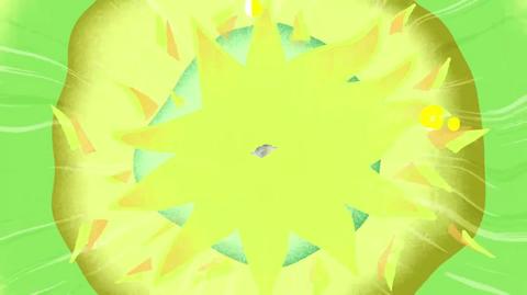20260712陪看